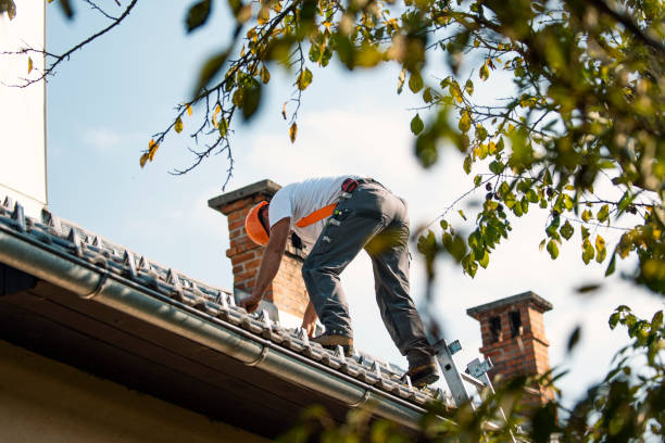 Quick and Trustworthy Emergency Roof Repair Services in Silver Springs, FL