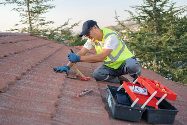 Best Shingle Roofing Installation  in Silver Springs, FL