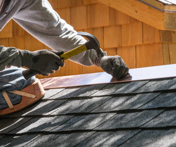 Best Roofing Contractor Near Me  in Silver Springs, FL
